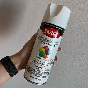 KRYLON COLORMAXX